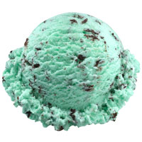 Mint Chocolate Chip